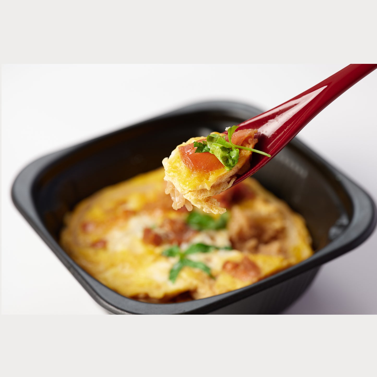 ［B005］冷凍鶏めし親子丼
